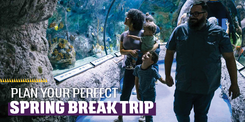 Plan Your Perfect Spring Break Trip 