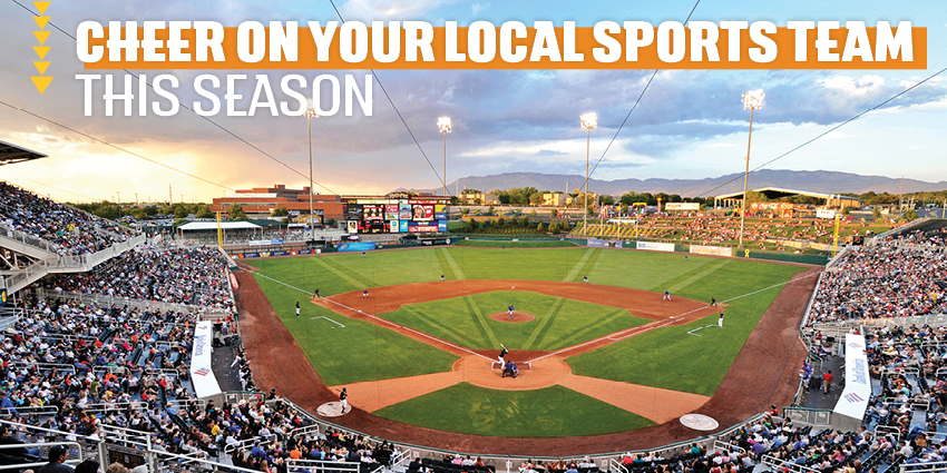 Cheer On Your Local Sports Team This Season 