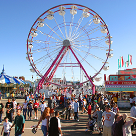 New Mexico State Fair 