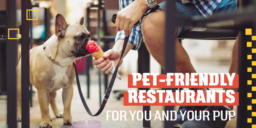 Pet-Friendly Restaurants For You and Your Pup 