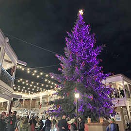 Old Town Holiday Stroll 