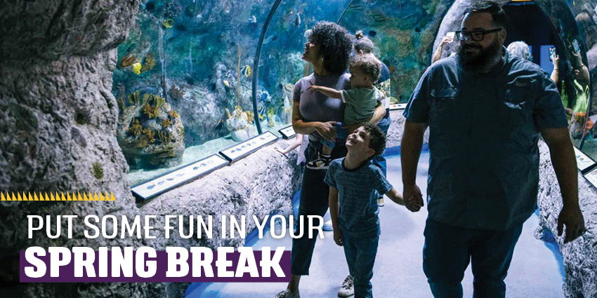 https://www.visitalbuquerque.org/abq365/blog/post/six-ways-to-have-fun-with-your-kids-during-spring-break/ 